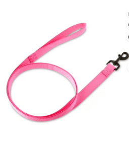 Vibrant Life Solid Polyester 6ft Dog Leash, Pink - For Medium & Large Dogs